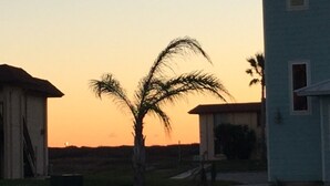 Un edificio de una planta con techo plano, rodeado de césped y una palmera.