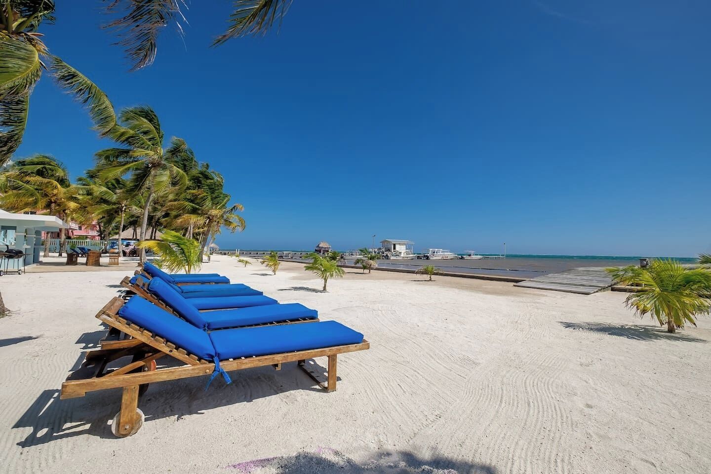 Een strand met ligbedden en palmbomen.