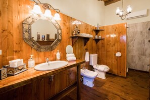 Regadera, secadora de cabello, bidet, toallas