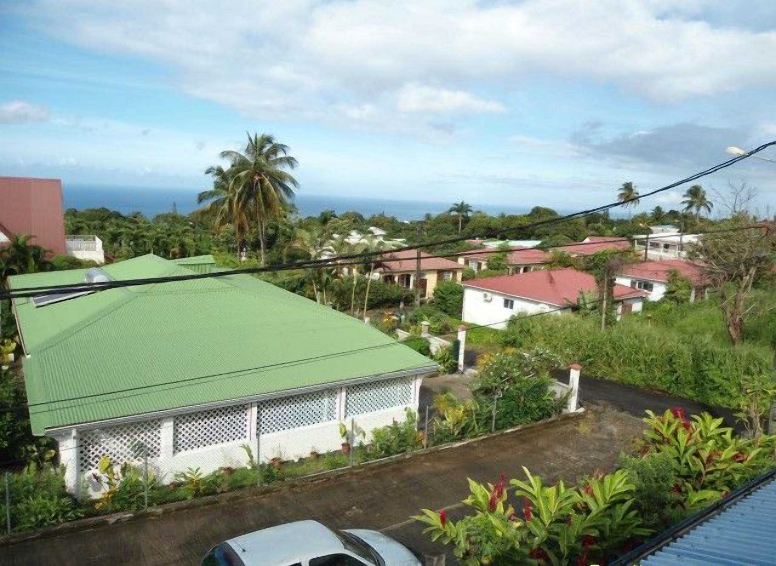 A residential area with houses, a car, and a view of the ocean.
