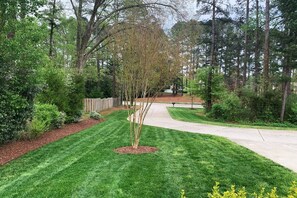 A well-maintained residential lawn with a curved driveway, surrounded by mature trees and shrubs.