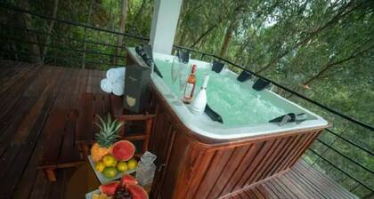 Luxurious 6 bedroom mansion with heated pool