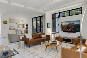 Smart TV, fireplace, books, music library