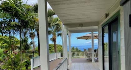 Three Palms