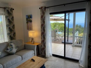 Smart TV, Netflix, reproductor de DVD y libros 