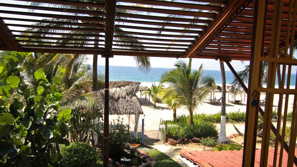 Une vue sur la plage depuis un espace abrité, doté d’une structure en chaume et bordé de palmiers.