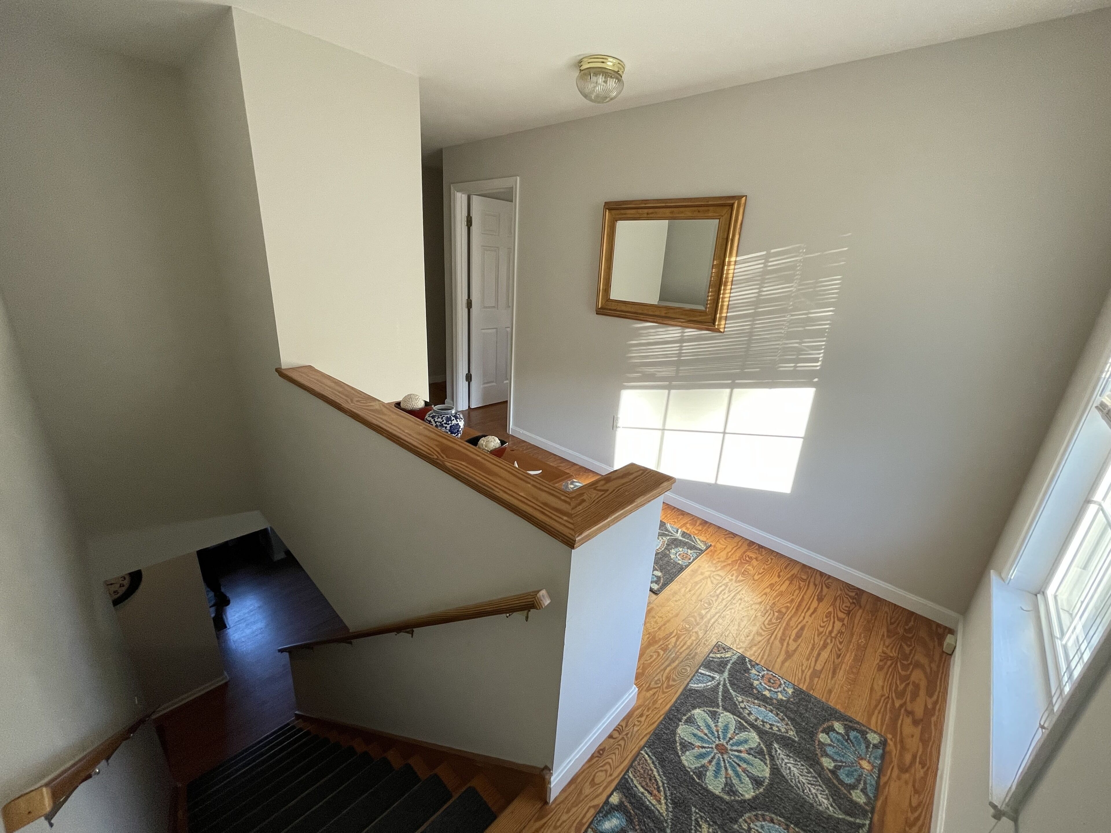 10 Best PetFriendly Rentals In Bethany Beach, Delaware Updated 2024 Trip101