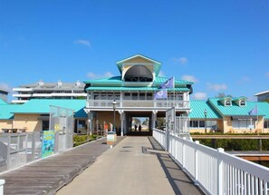 Exterior - Endless summer in beautiful house with heated pool (Bradenton)