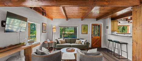 TV, fireplace, books