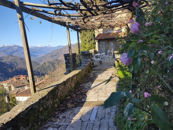 Parco della struttura