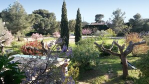 A garden with various trees and shrubs, a pathway, and a bench. - Self-catering cottage 400m from the beach, run by olive growers (Six-Fours-les-Plages)