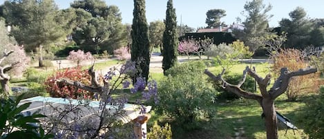 A garden with various trees and shrubs, a pathway, and a bench.