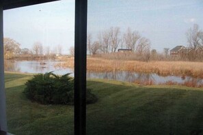 A view through a window of a grassy area with a pond, trees, and a building in the background.