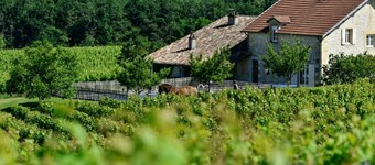 Large country house with private pool and pets allowed