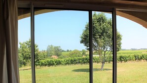 Blick durch ein Fenster auf ein Weinberg und einen Baum im Hintergrund.