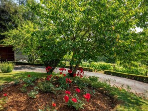 Property grounds - Charming Cottage in the Heart of Vézère Valley with Terrace, BBQ, and WiFi (Tursac)