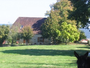 Property grounds - Independent house with heated pool near Montignac, pets allowed (Auriac-du-Périgord)