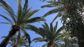 Enceinte de lâhĂ©bergement