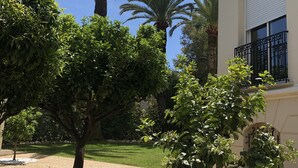 Un pati amb palmeres, un edifici amb un balcó i un jardí ben cuidat.