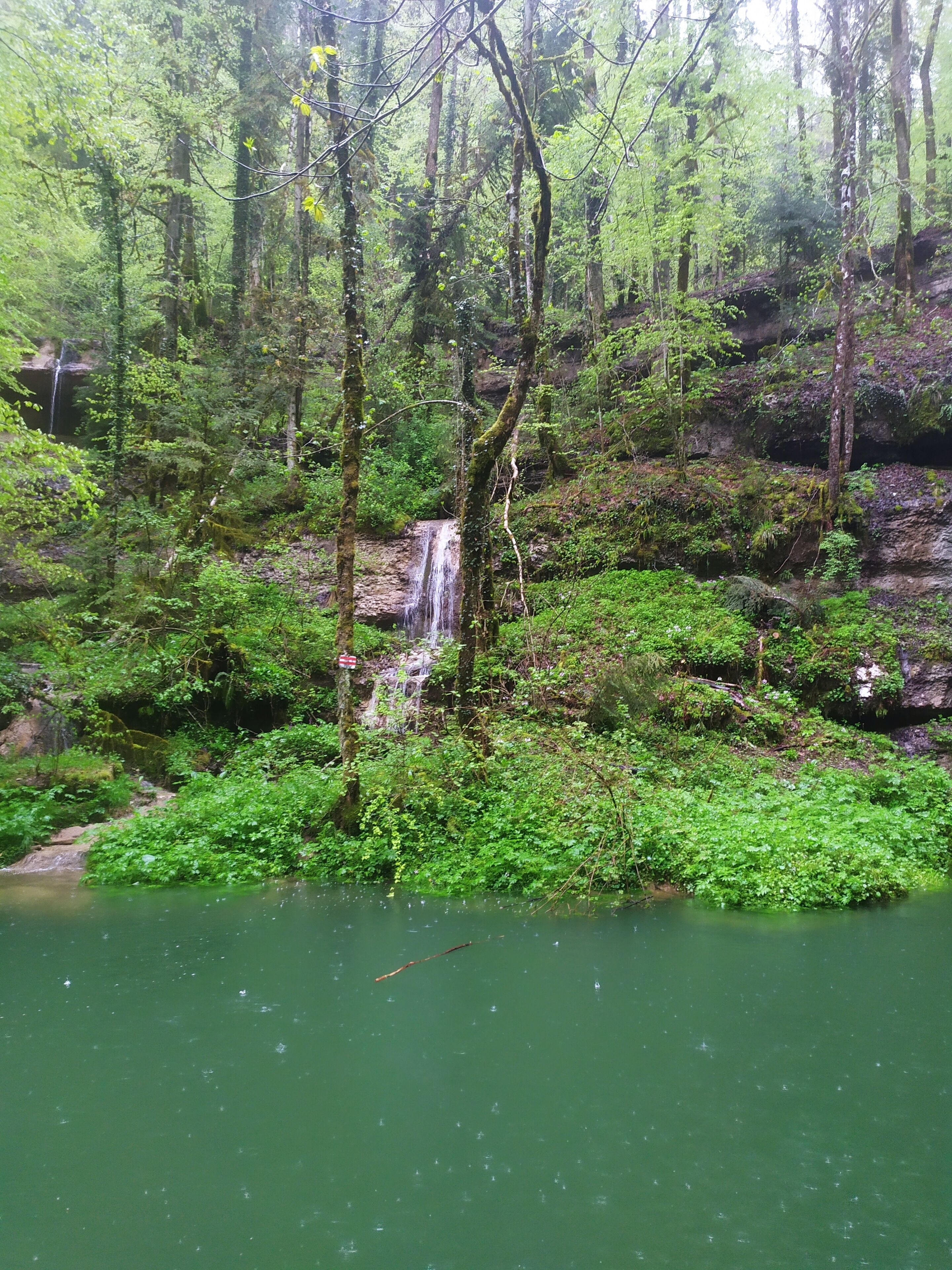 Een bebost gebied met een waterval en een waterpartij.
