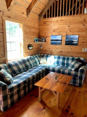 TV, stereo - Peaceful Maine cabin on 16 beautiful acres! (New Portland)