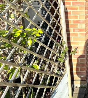 Exterior - St Albans Annex (Cambridge)