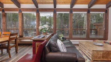 TV, fireplace, DVD player