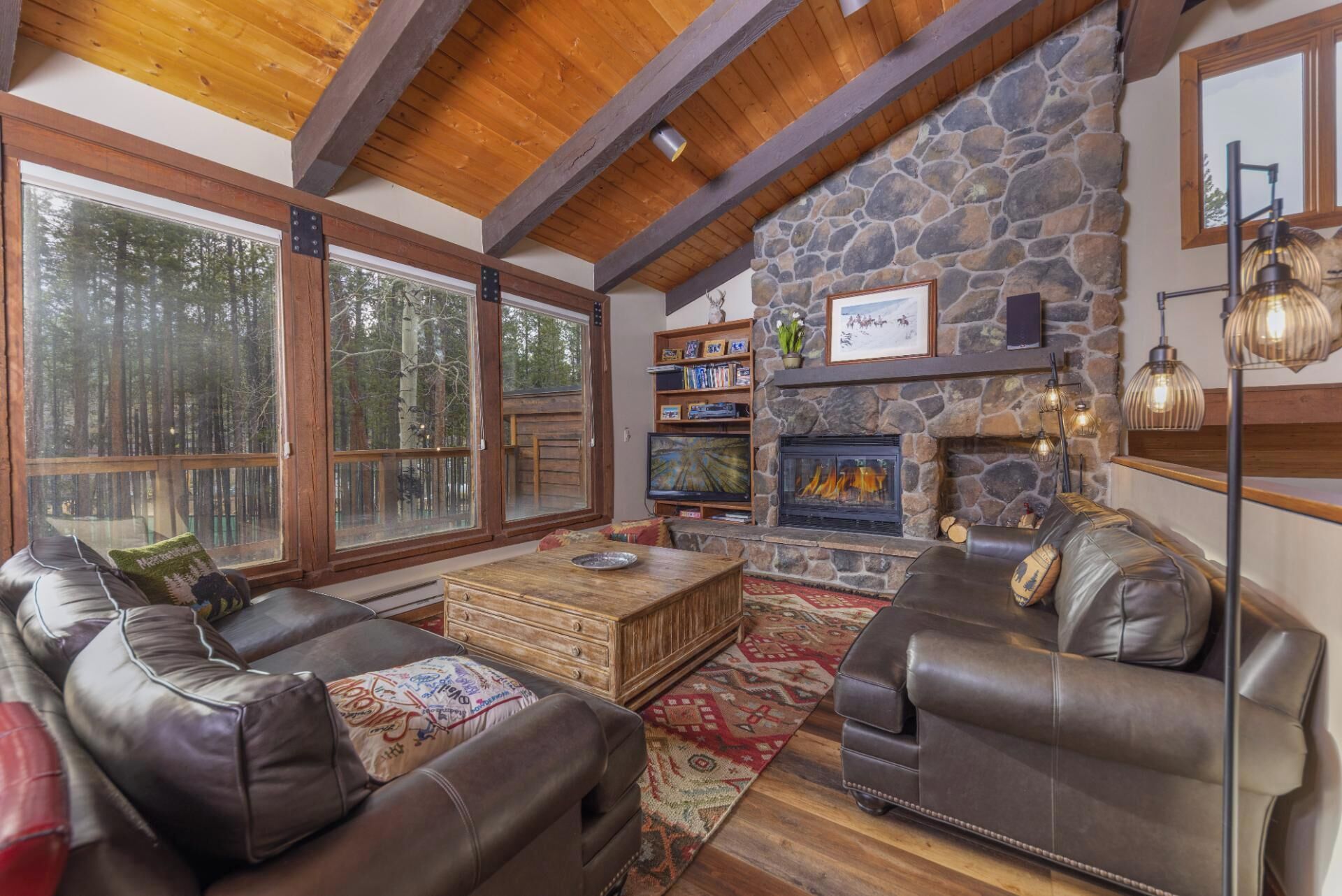 TV, fireplace, DVD player