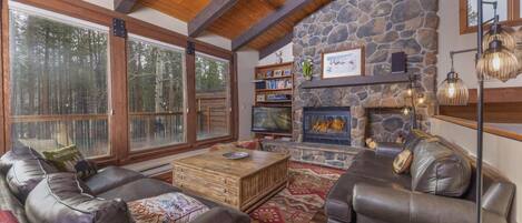 Télévision, cheminée, lecteur de DVD