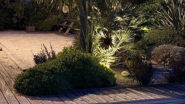 Et poolområde med træterrasse, omgivet af forskellige planter og træer.