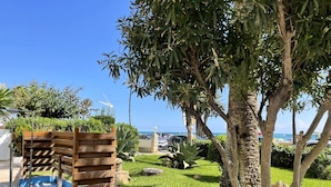 Um jardim bem cuidado com um banco de madeira, palmeiras e vista para o mar.