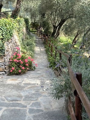A stone pathway flanked by greenery and a wooden fence. - Casa Ferrari farmhouse, swimming pool, SPA, garden Private  (Caravonica)