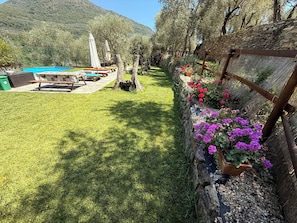 Property grounds - Casa Ferrari farmhouse, swimming pool, SPA, garden Private  (Caravonica)