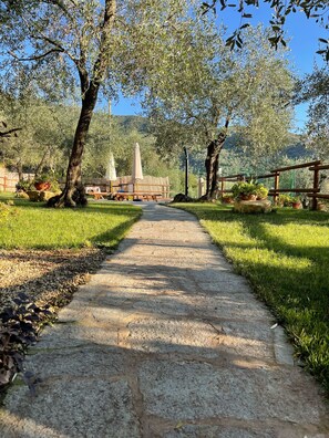 Terrein van de accommodatie