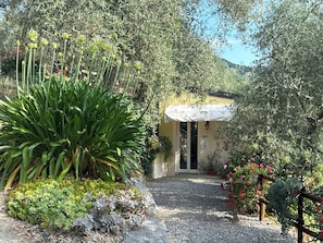A garden pathway leading to a building with a covered entrance, surrounded by various plants and shrubs. - Casa Ferrari farmhouse, swimming pool, SPA, garden Private  (Caravonica)