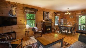 Televisor, llar de foc, reproductor de DVD i llibres