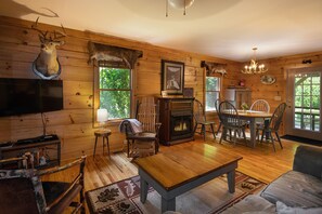 Fernseher, Kamin, DVD-Player, Bücher