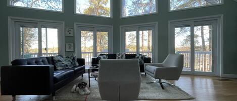 TV connectée, cheminée, livres