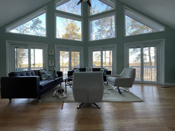 Smart TV, fireplace, books