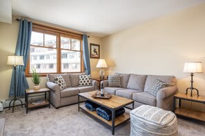 Télévision, cheminée, livres