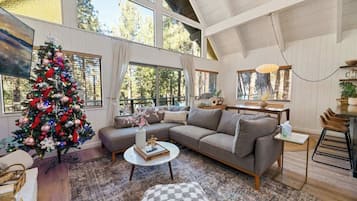 Télévision, cheminée, espaces bureaux