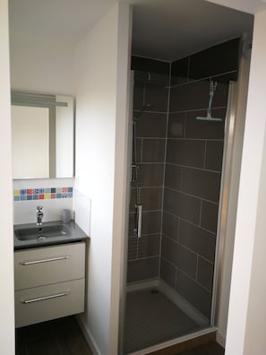 Shower, towels, toilet paper