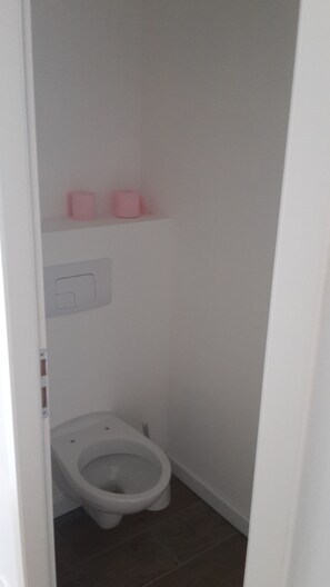 Chuveiro, toalhas de banho, papel higiênico 