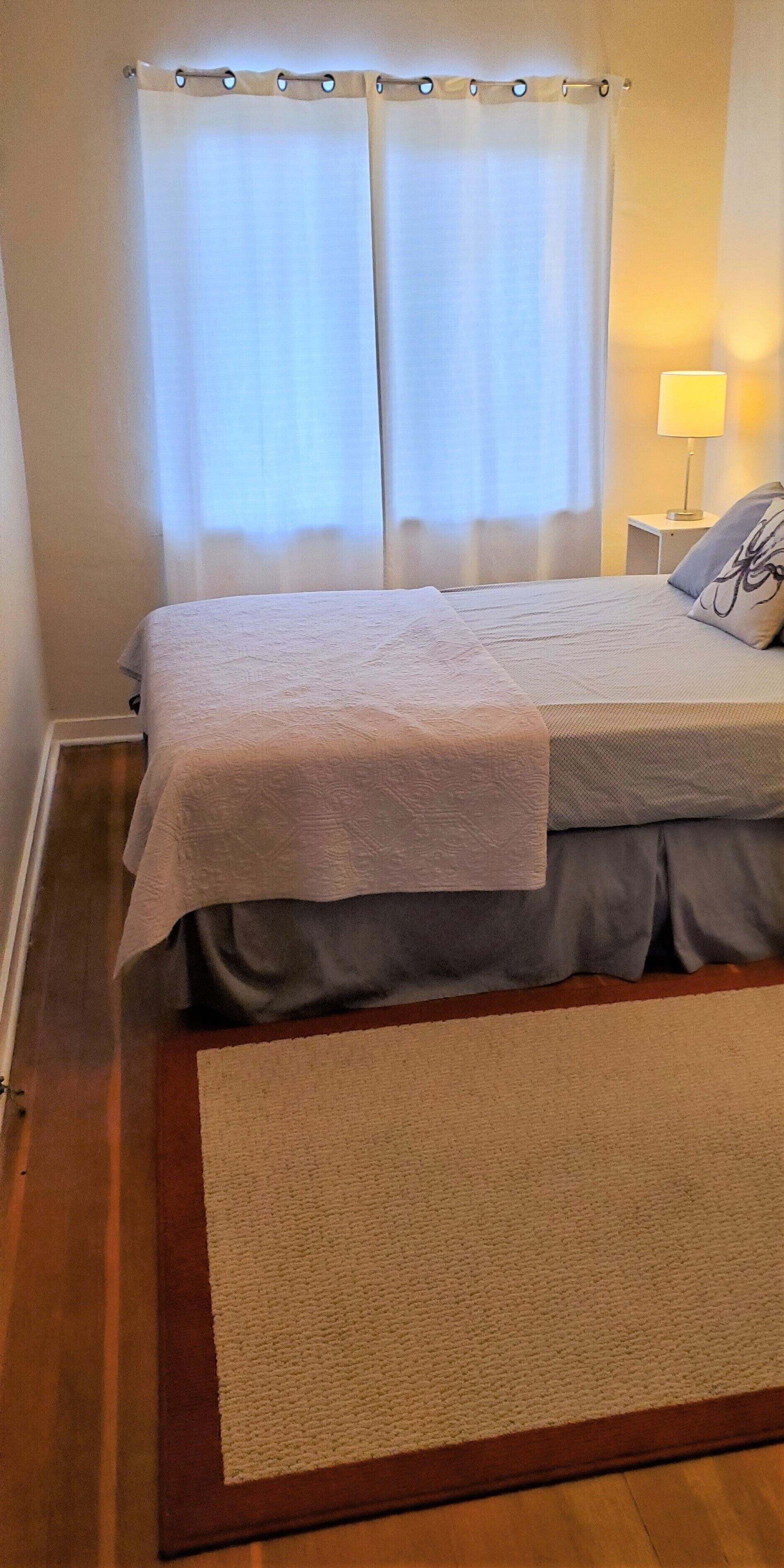 1BR Mid-century Retreat near Midtown/Virginia Lake/Downtown 