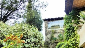 Una escalera de piedra que sube hacia un edificio, rodeada de abundante vegetación y plantas en macetas.