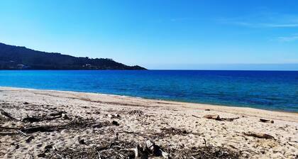 Duplex 1 seafront in residence with swimming pool Air conditioning WIFI