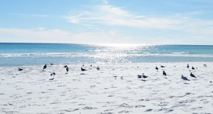 Gulf Memories #802 Beach Service Included - 2 Chairs and Umbrella