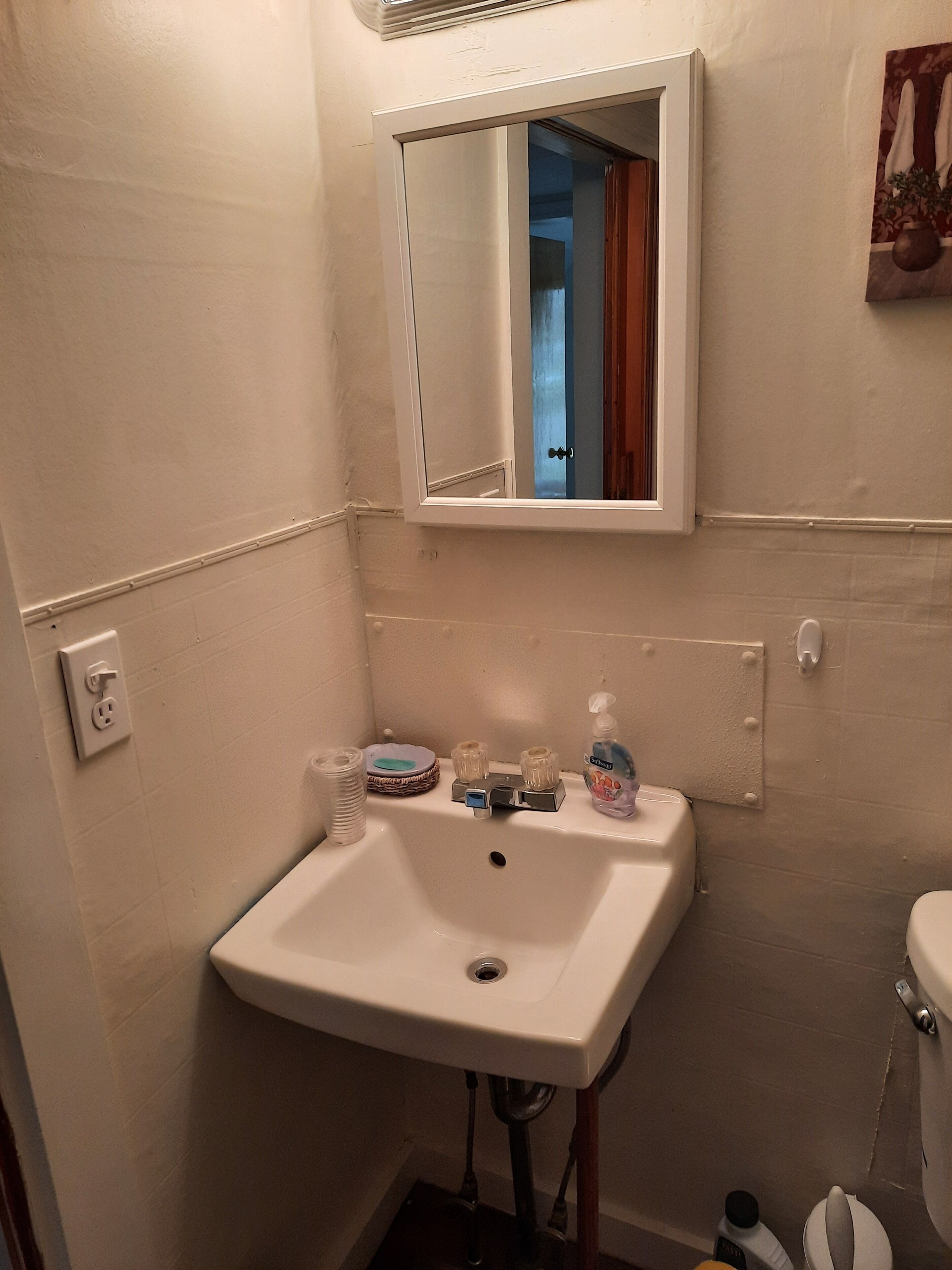 A bathroom with a white sink, a mirror above it, and a toilet to the right. There is a bottle of hand soap on the sink and a trash bin next to it.