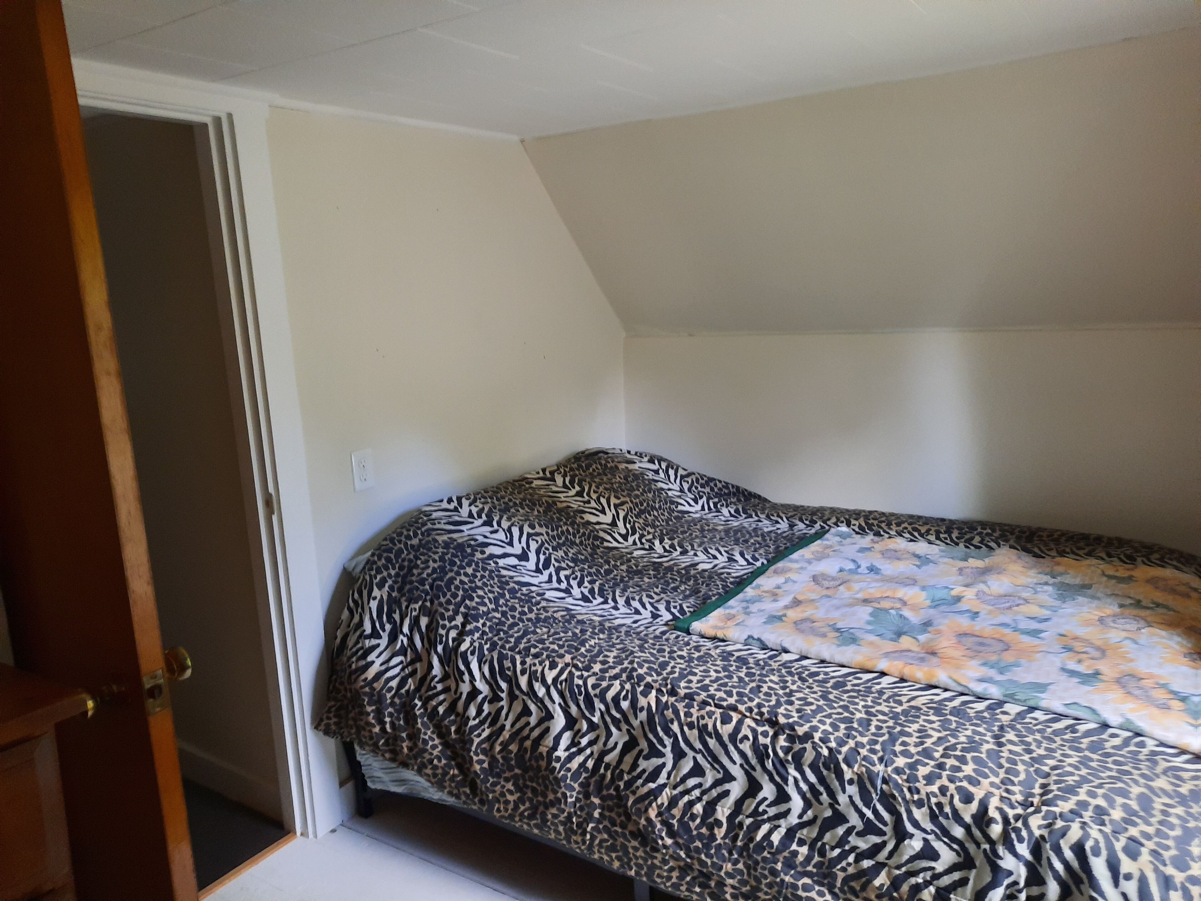 A bedroom with a bed covered in a zebra print blanket, a door to the left, and a white ceiling.