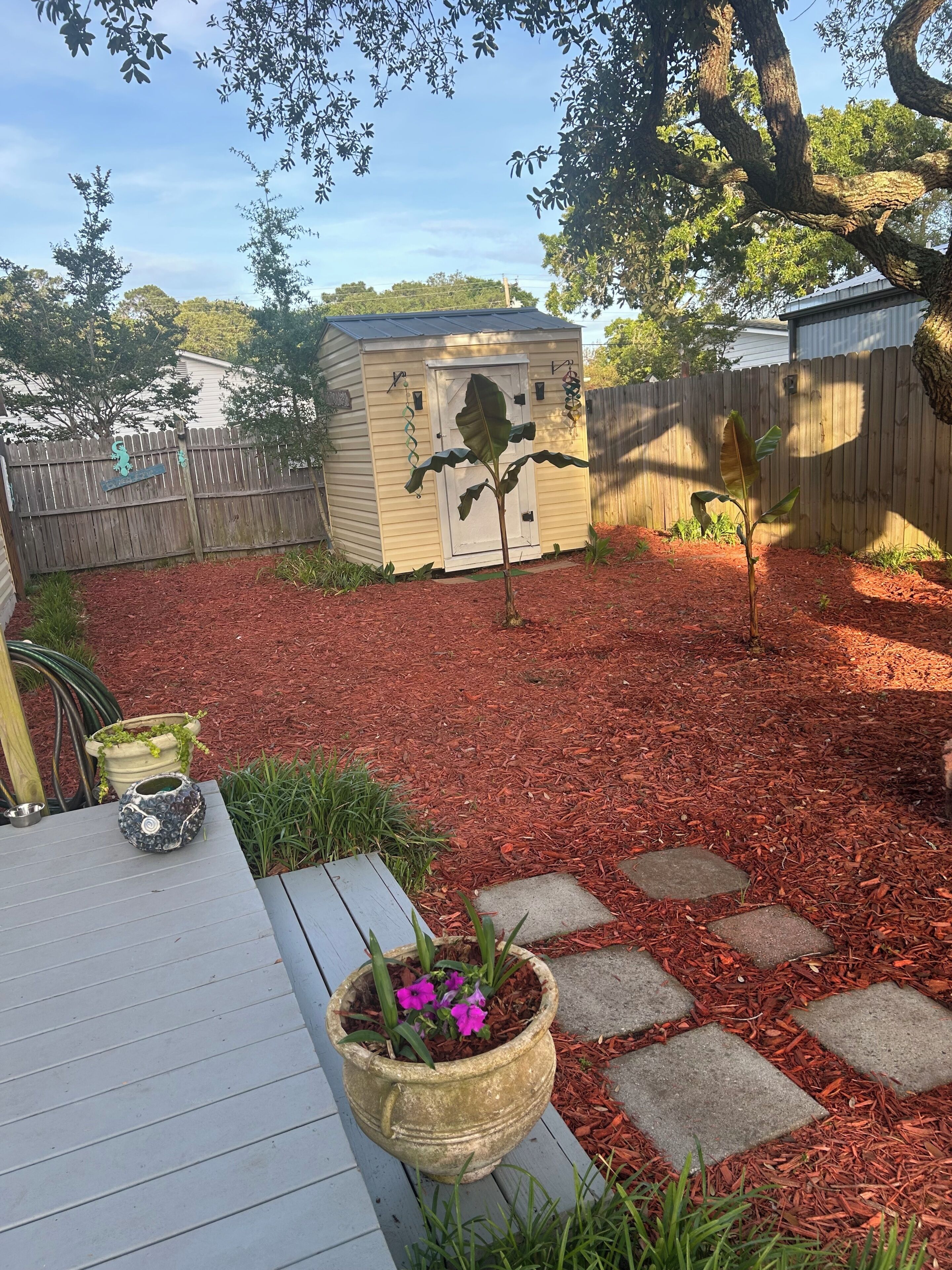 A backyard with a shed, a wooden deck, and a garden area with mulch and stepping stones.